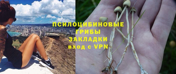 мяу мяу мука Армянск