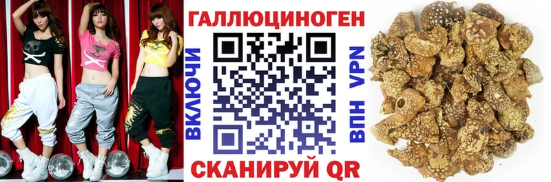 Псилоцибиновые грибы прущие грибы  Сельцо 